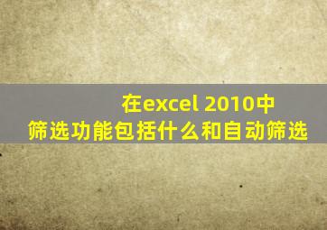 在excel 2010中筛选功能包括什么和自动筛选